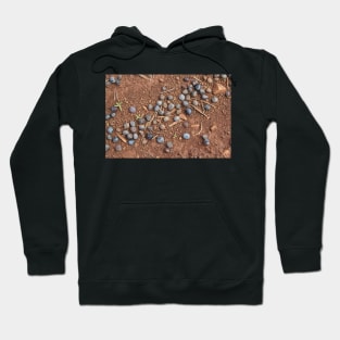 Remnants of a harvest past Hoodie